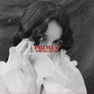 二次元美女18🚫隐私免费
