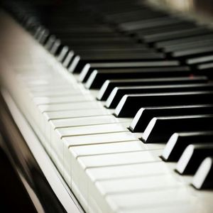 二次元美女18🚫隐私免费
