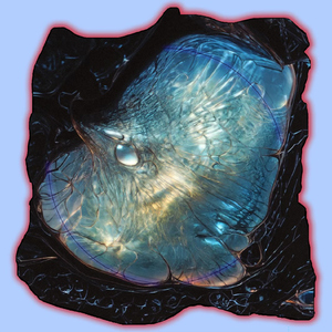 二次元美女18🚫隐私免费
