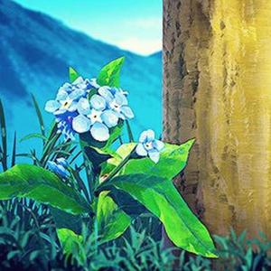 二次元美女18🚫隐私免费
