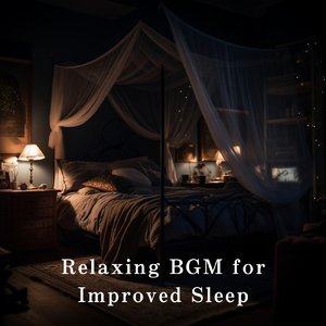 二次元美女18🚫隐私免费
